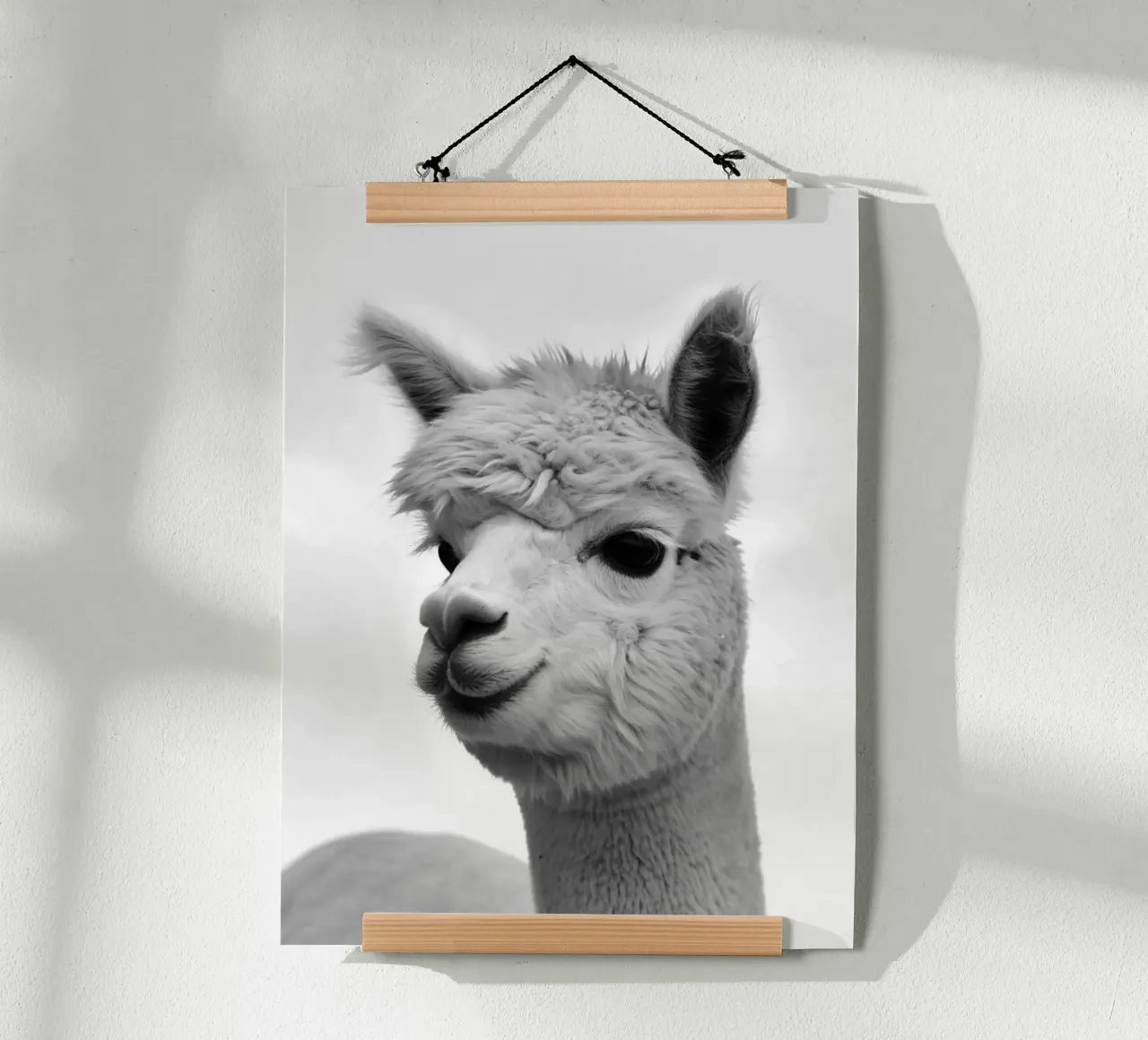 alpaca poster da PERSIE