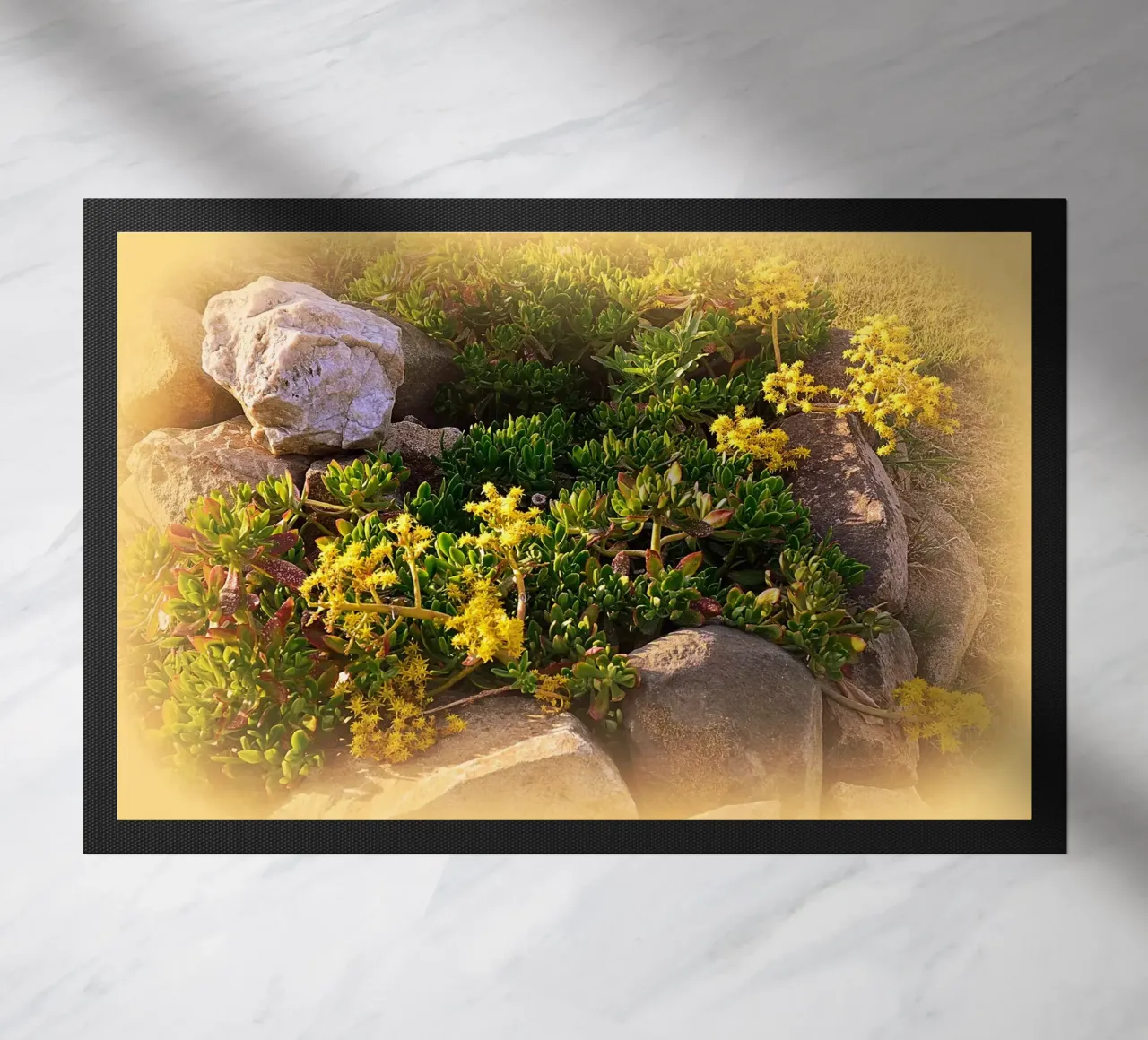 FAA19 zerbino da Thierry vobmann photography