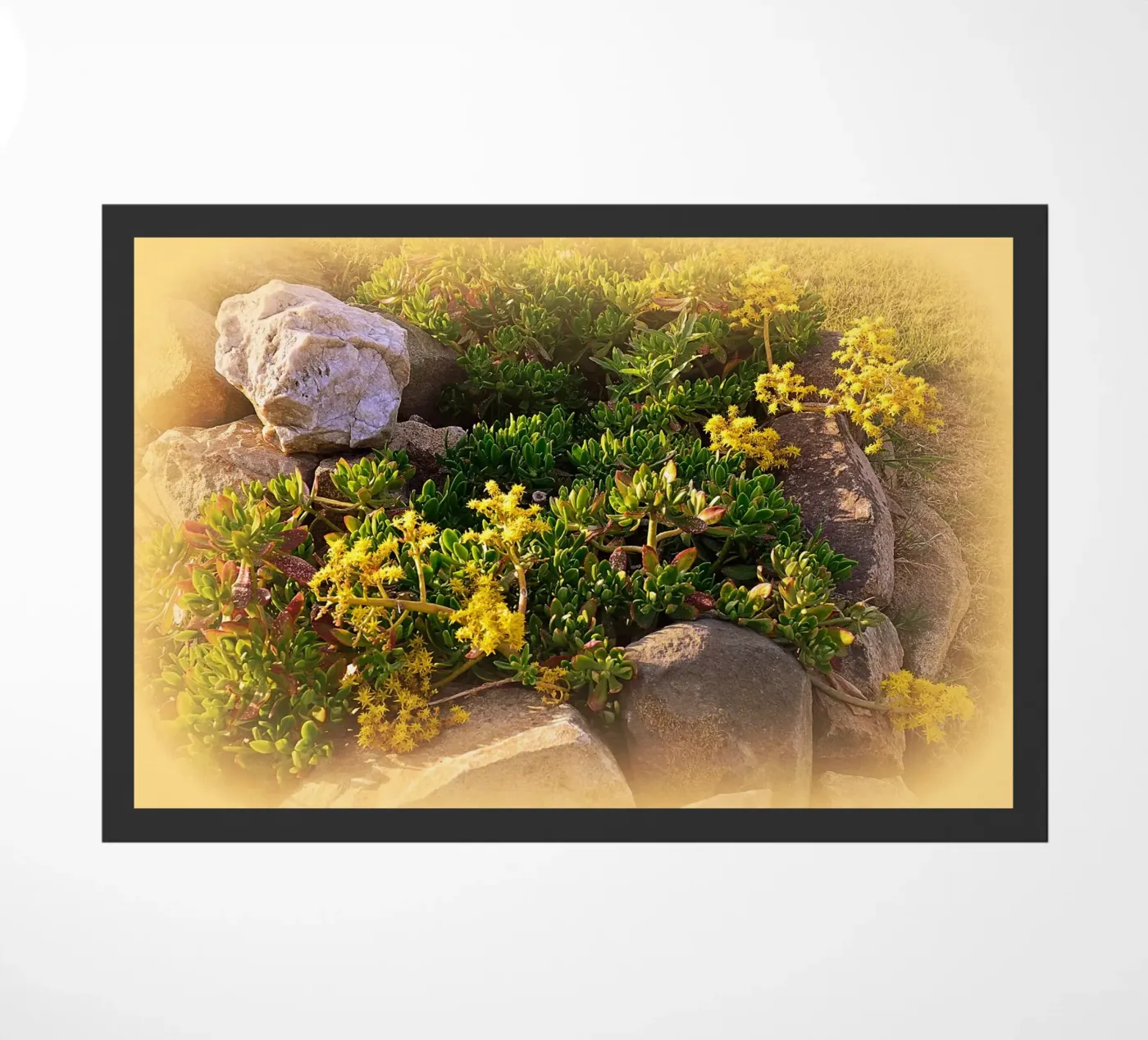 FAA19 deurmat van Thierry vobmann photography