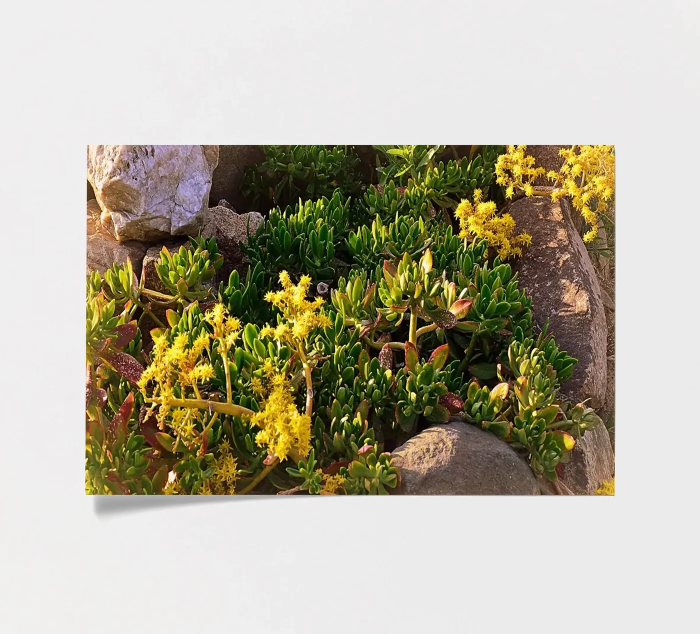 FAA19 sticker sheet by Thierry vobmann photography