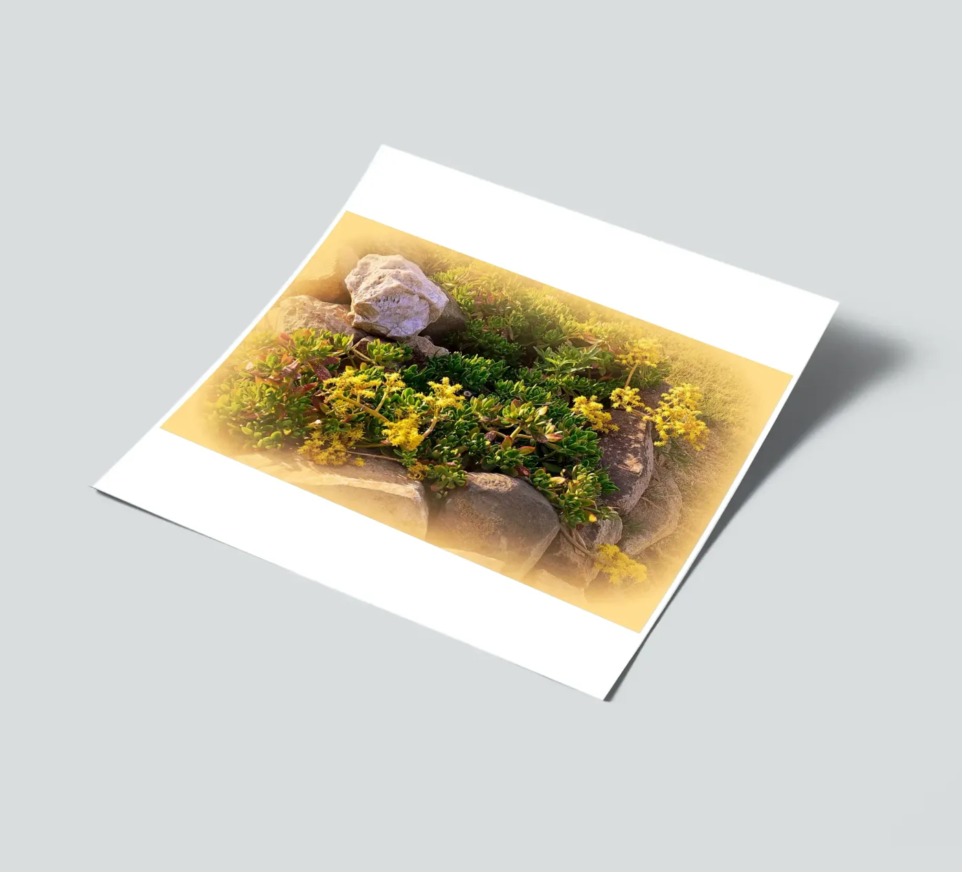 FAA19 sticker sheet by Thierry vobmann photography