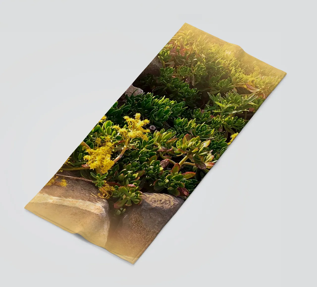 FAA19 telo mare da Thierry vobmann photography