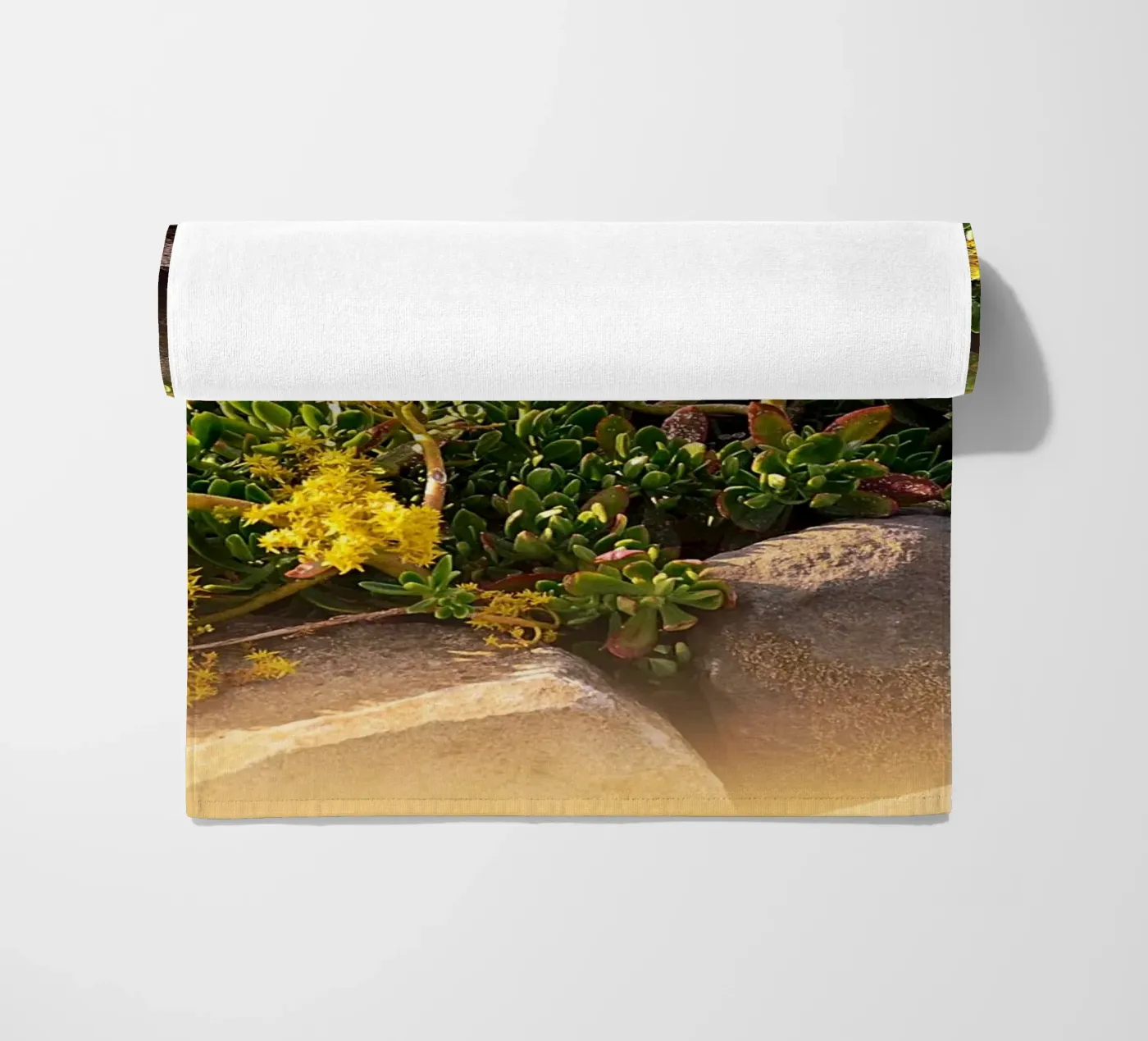 FAA19 telo mare da Thierry vobmann photography