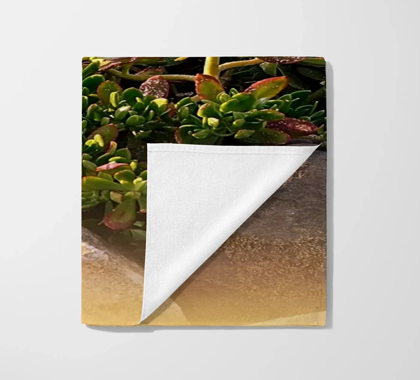 FAA19 telo mare da Thierry vobmann photography