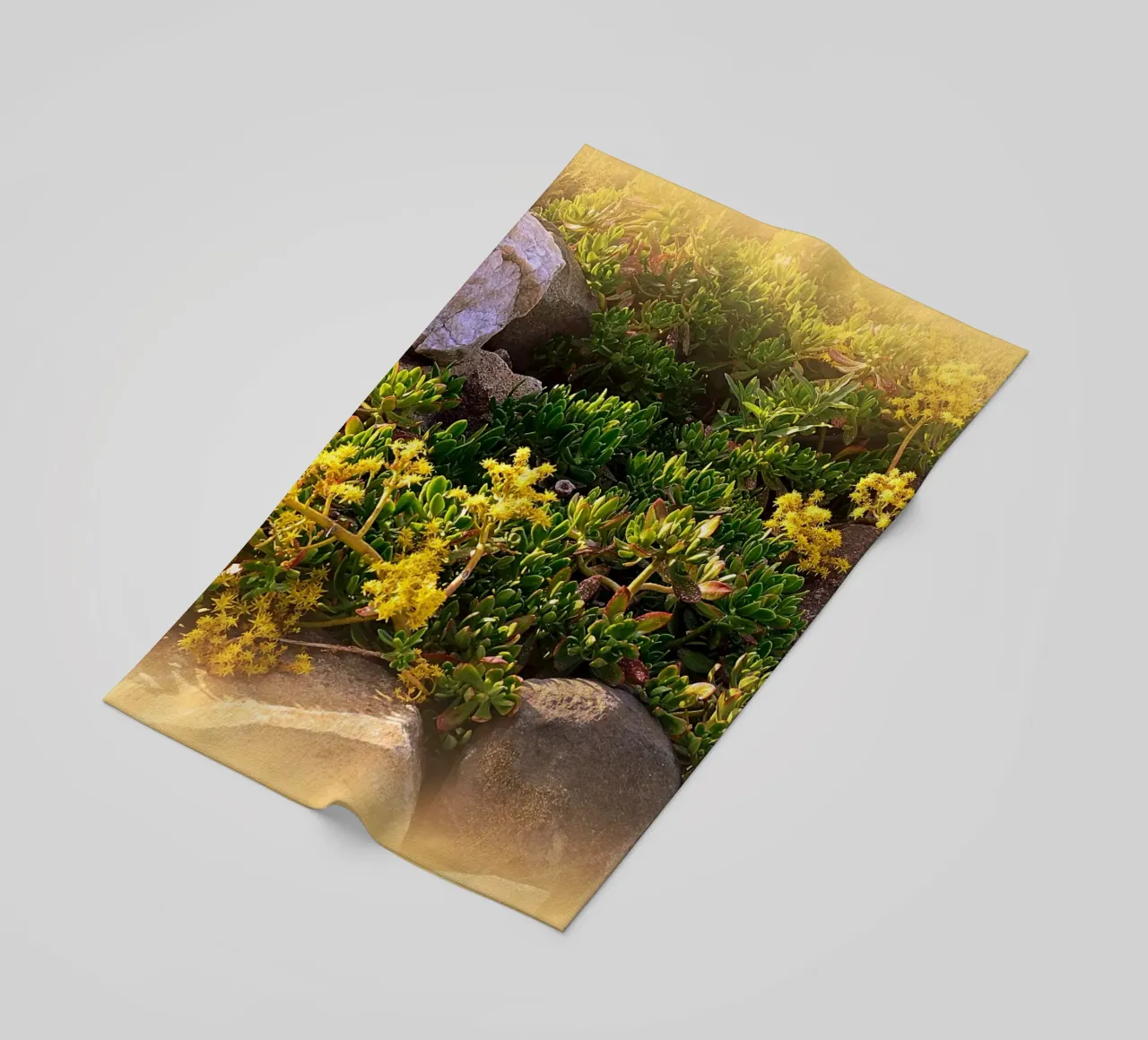 FAA19 telo mare da Thierry vobmann photography