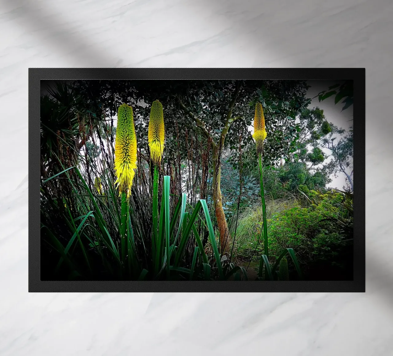 FAA24 zerbino da Thierry vobmann photography