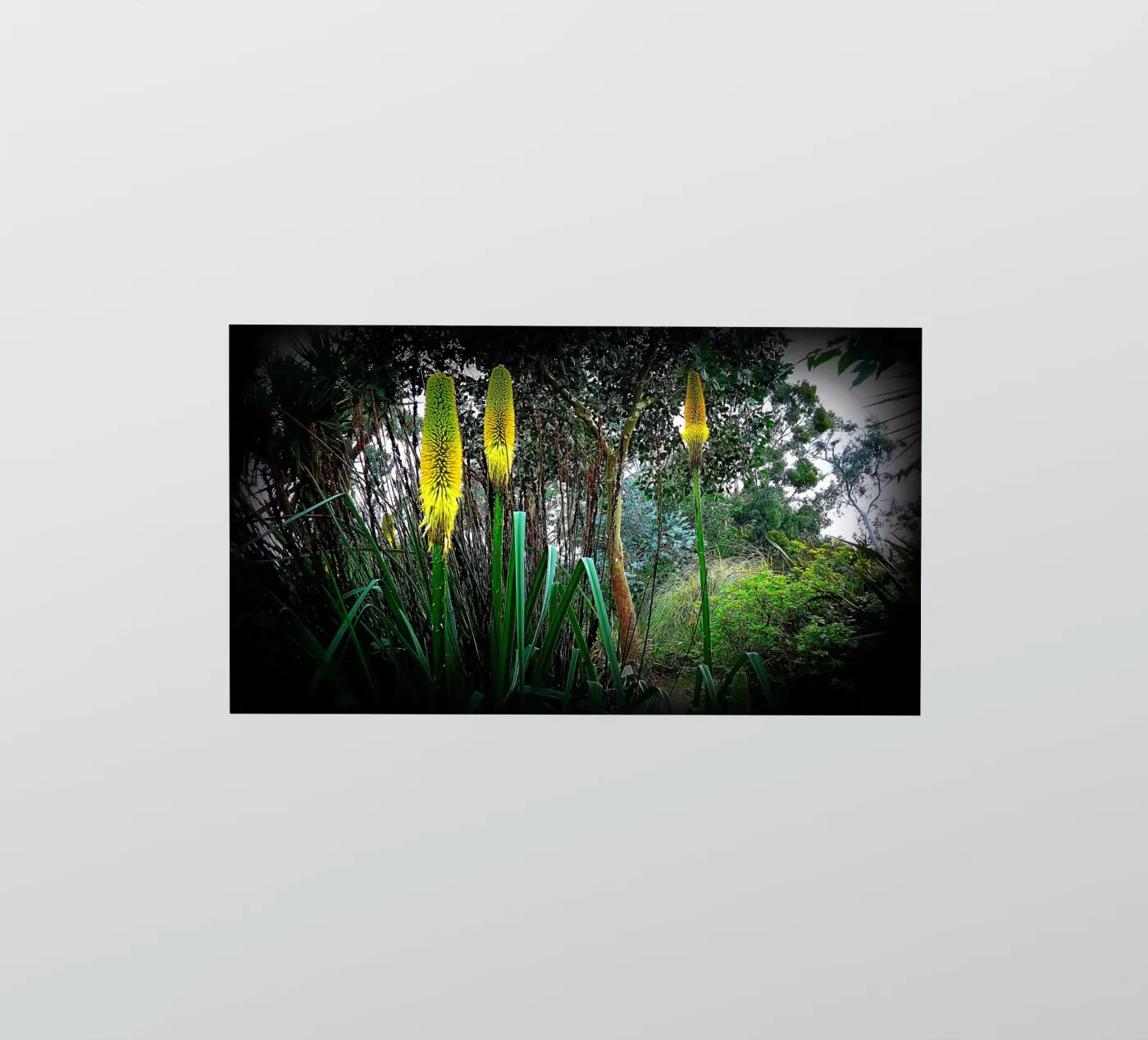 FAA24 sticker by Thierry vobmann photography