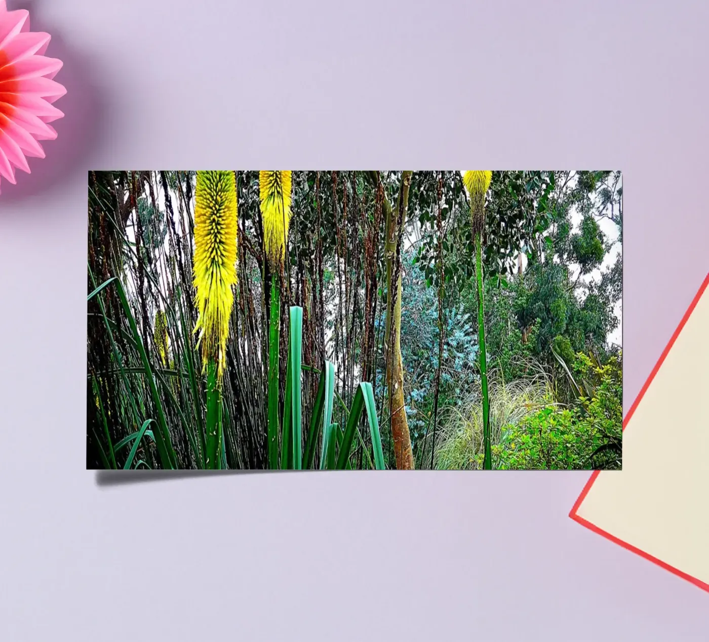 FAA24 sticker sheet by Thierry vobmann photography
