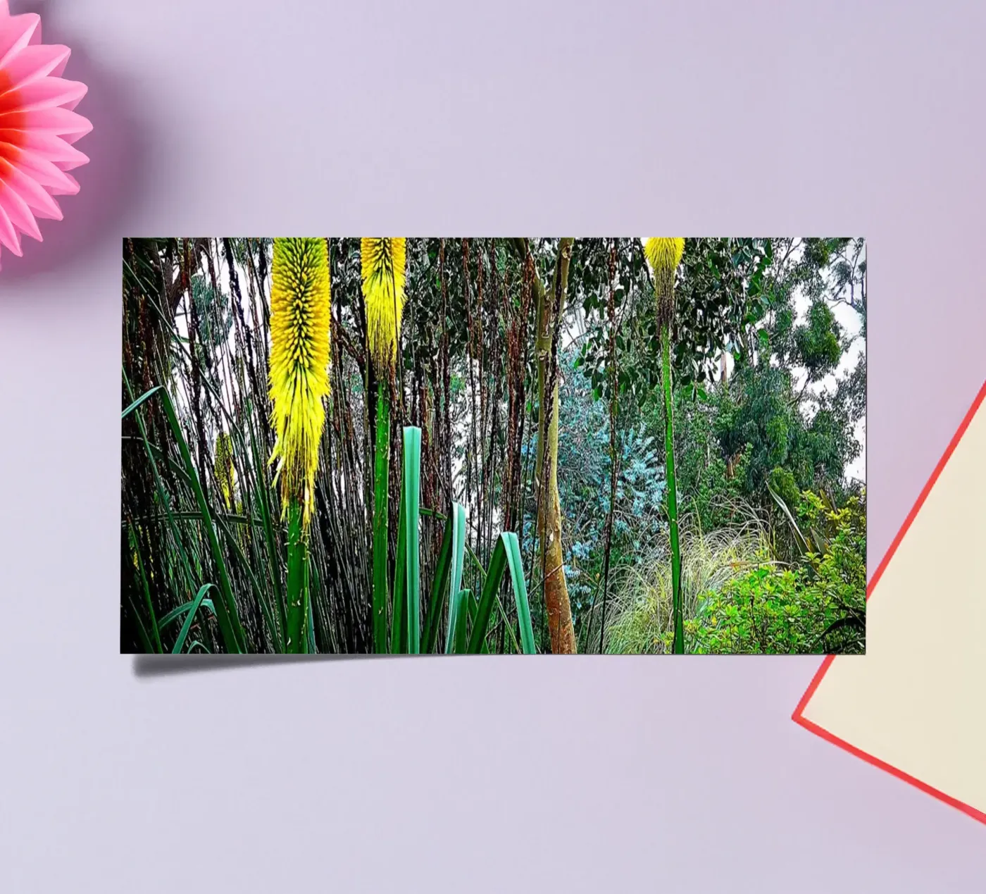 FAA24 sticker sheet by Thierry vobmann photography