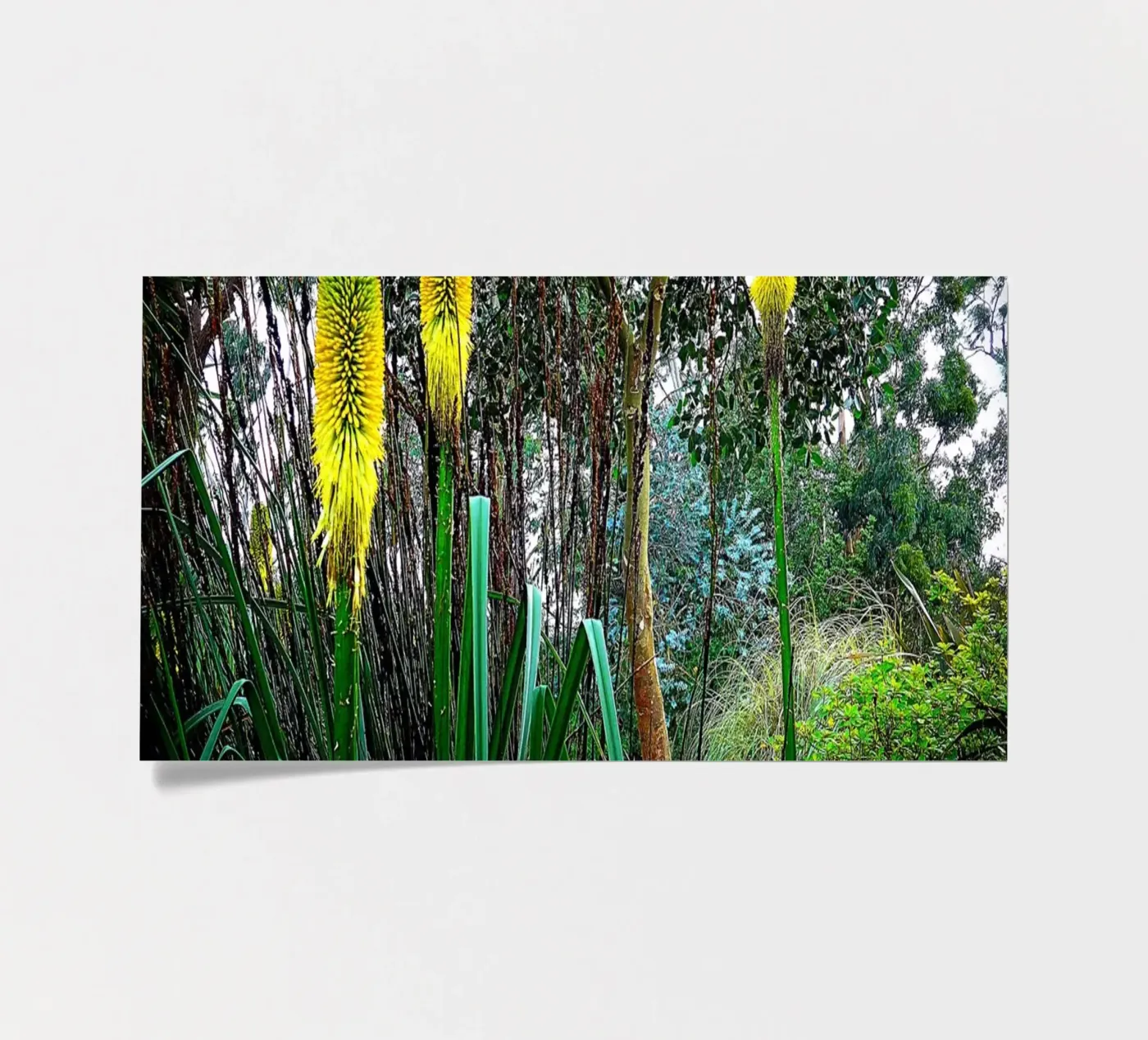 FAA24 sticker sheet by Thierry vobmann photography