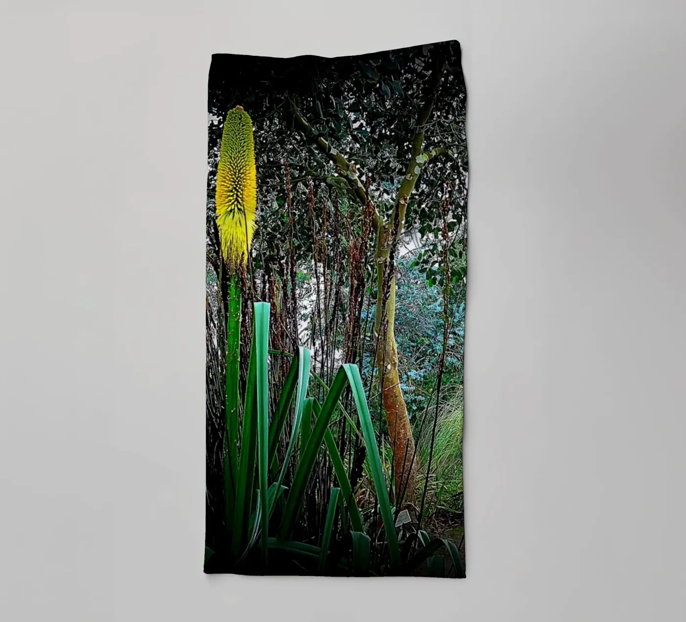 FAA24 towel by Thierry vobmann photography