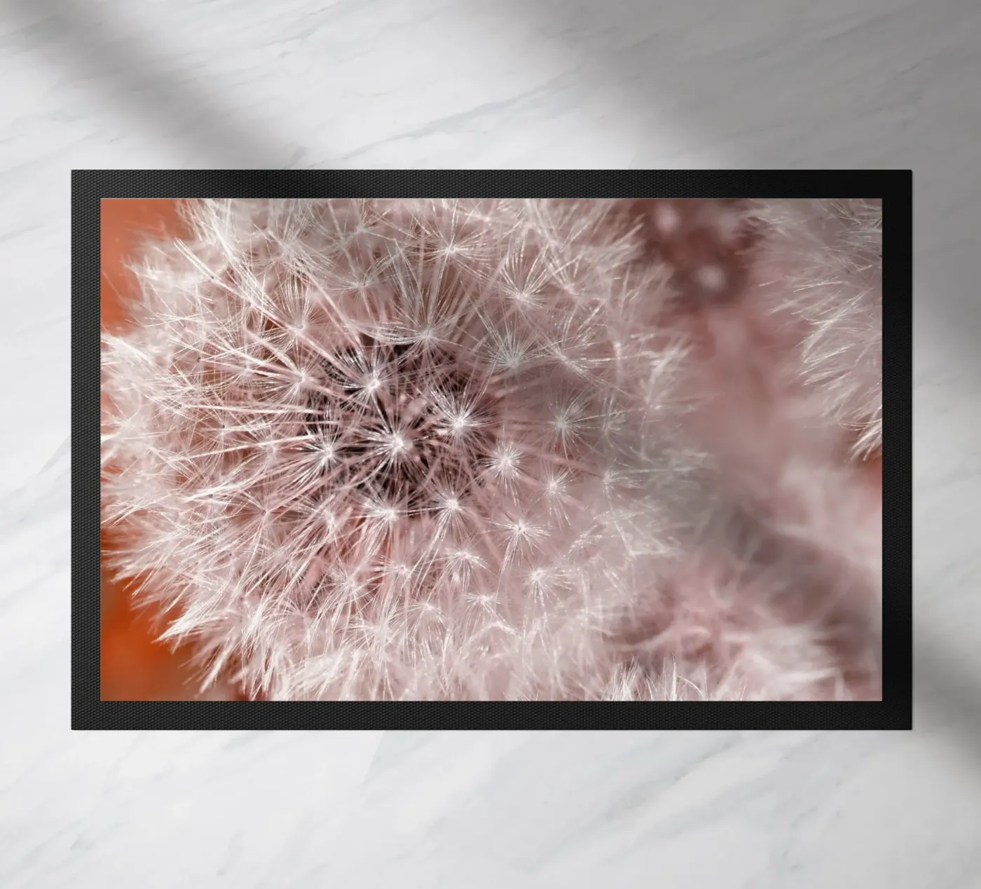 Light silence zerbino da Atteloi Fotografie