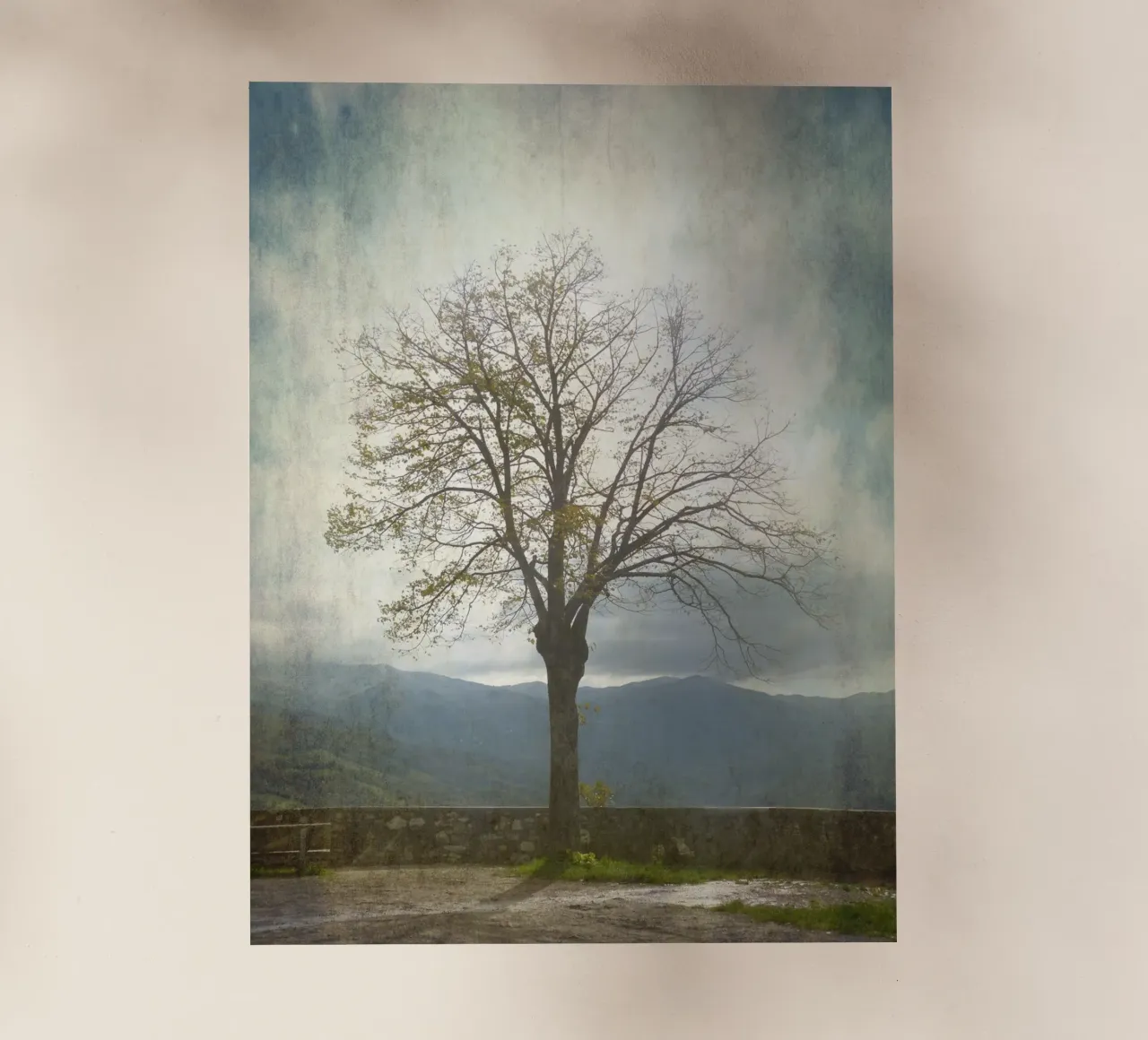 Wintertree pellicola backlit da ArtSkratches