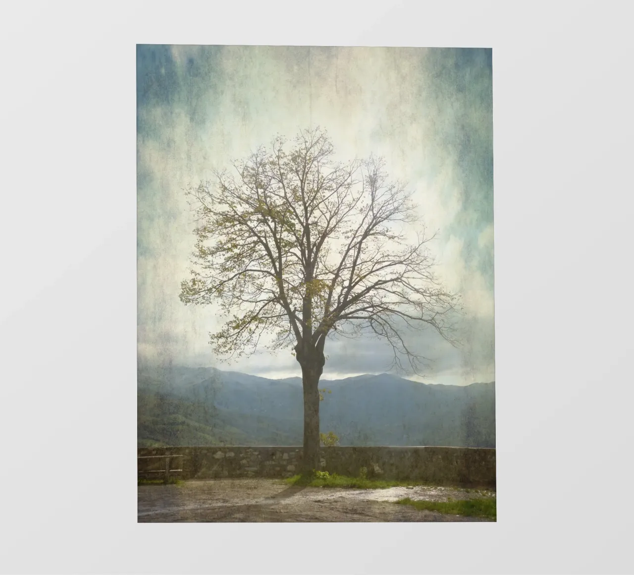 Wintertree pellicola backlit da ArtSkratches