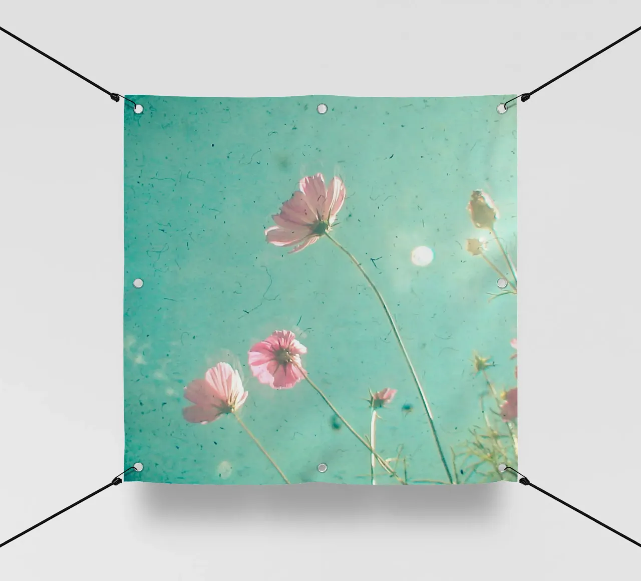 Prato telo in pvc da Cassia Beck Photography