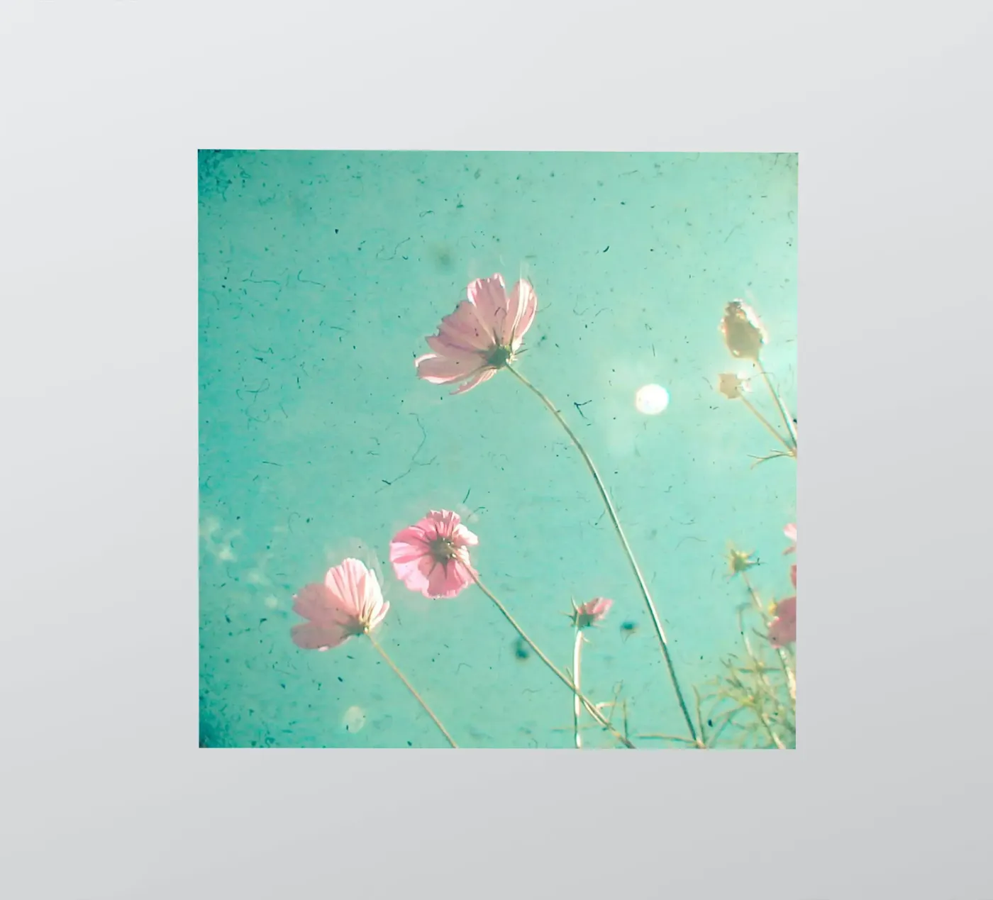 Meadow Sticker von Cassia Beck Photography