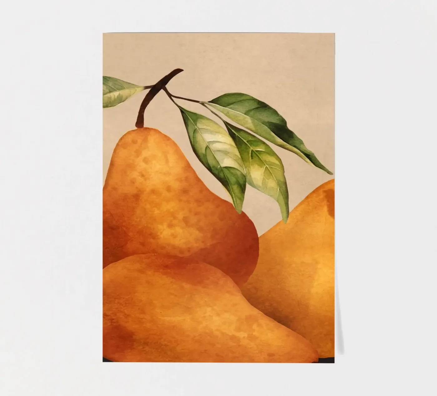 Pears foglio adesivo da Flow Line 2