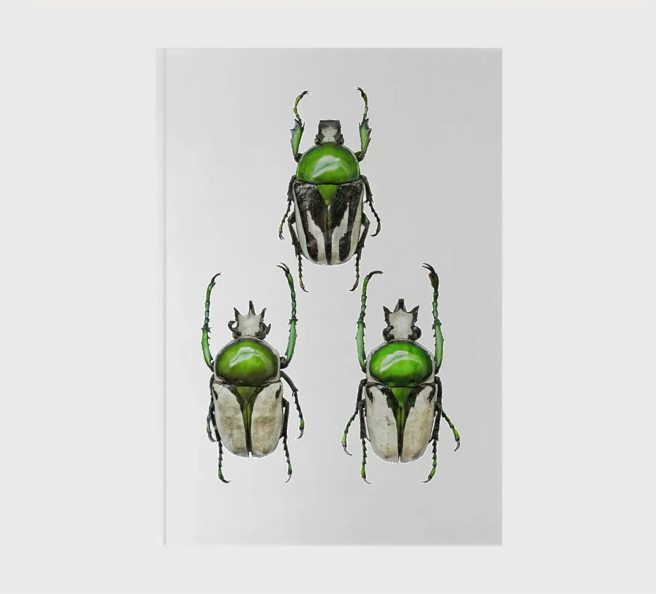 Three Green Scarab Beetles notebook by Curious Collections by Marielle Leenders
