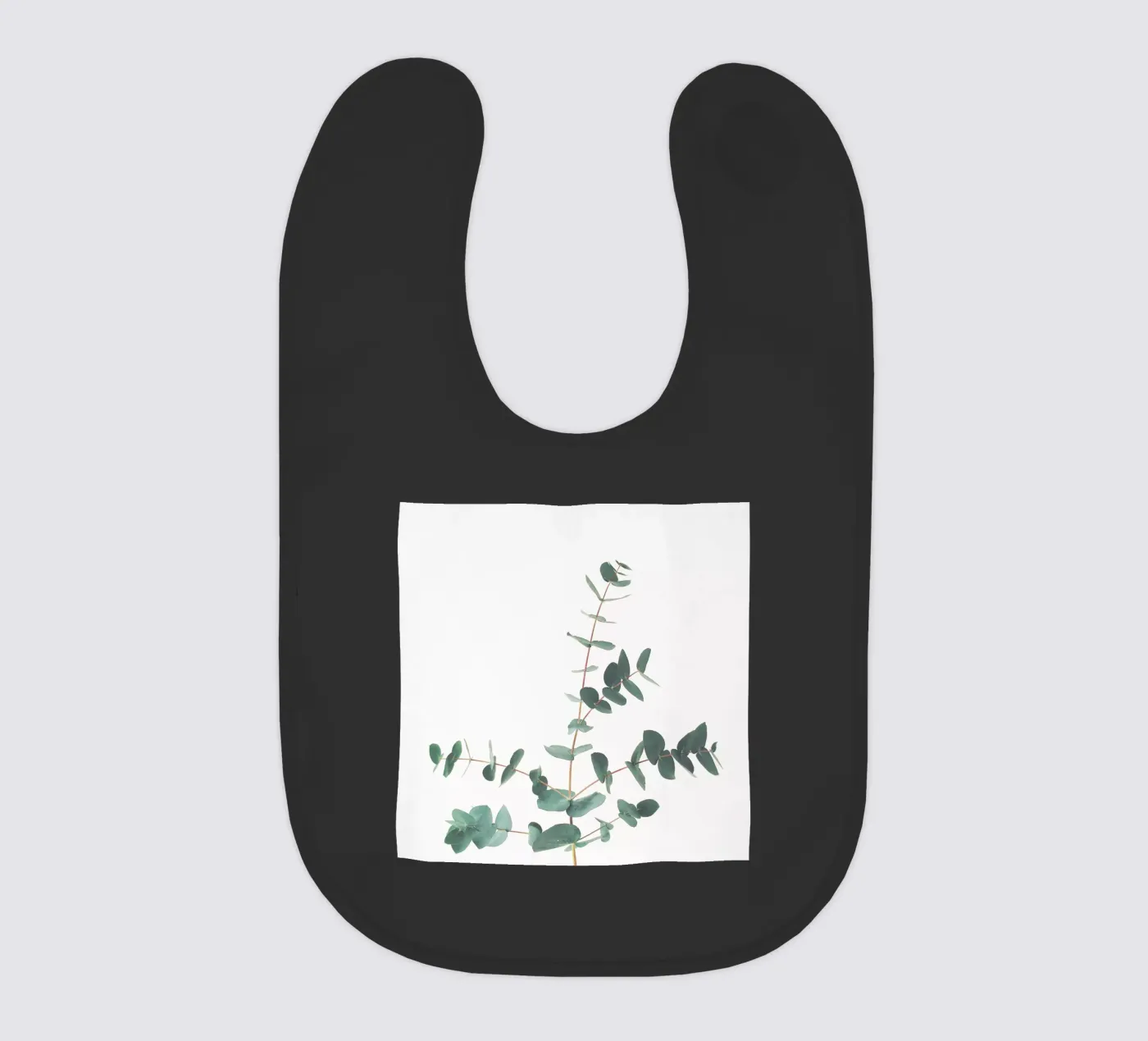 Eucalyptus bavaglino da Cassia Beck Photography