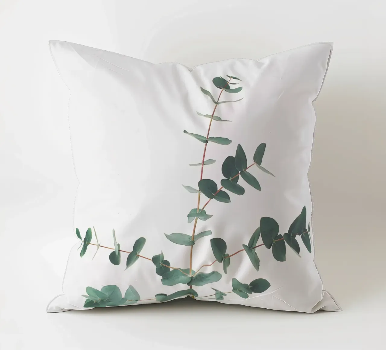 Eucalyptus cuscino da Cassia Beck Photography