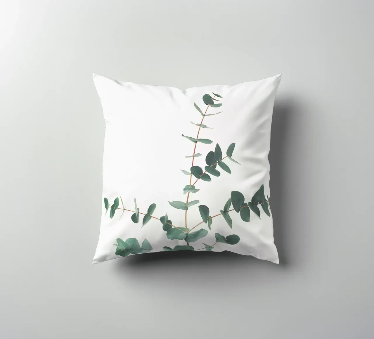 Eucalyptus cuscino da Cassia Beck Photography