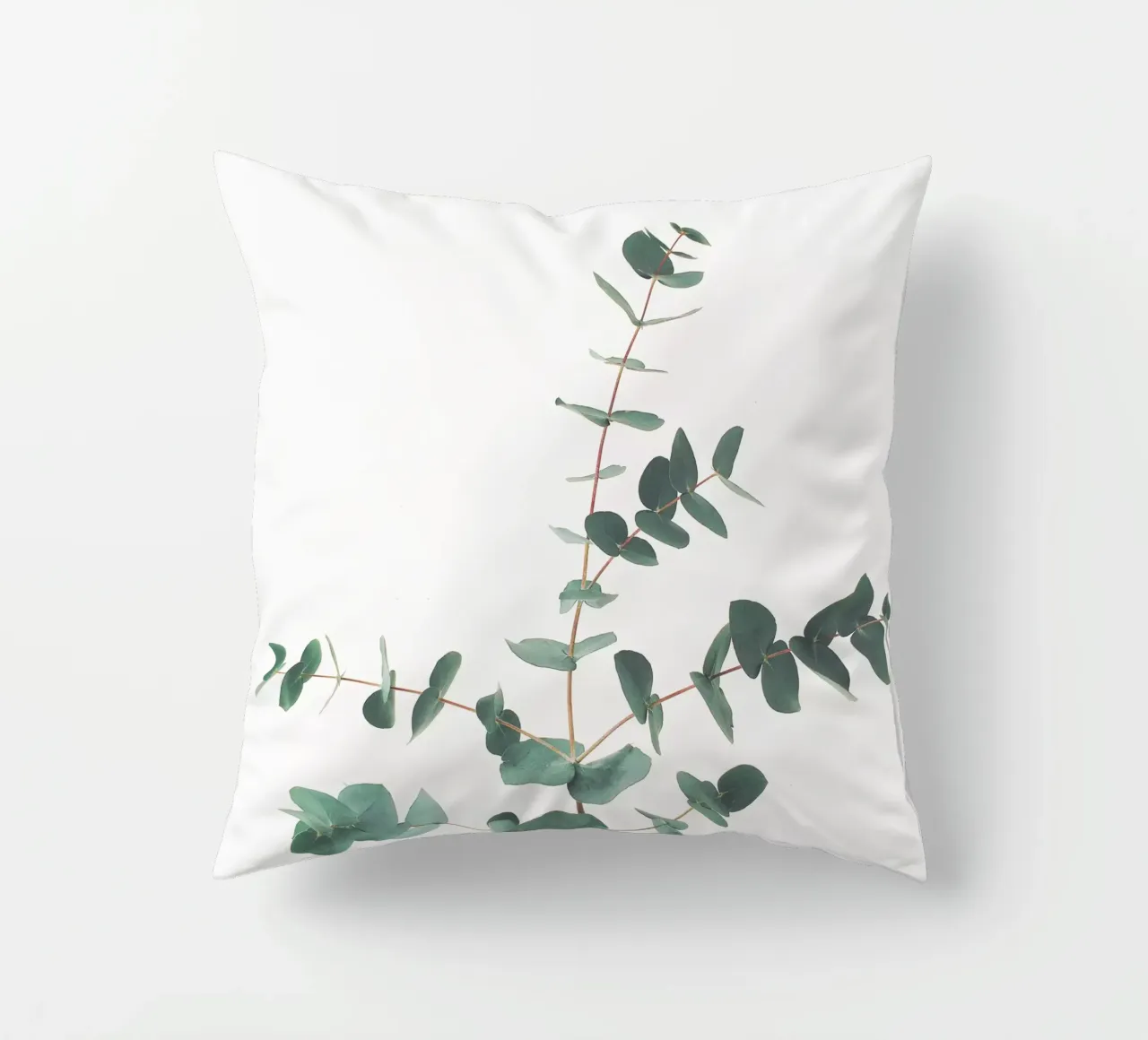 Eucalyptus cuscino da Cassia Beck Photography