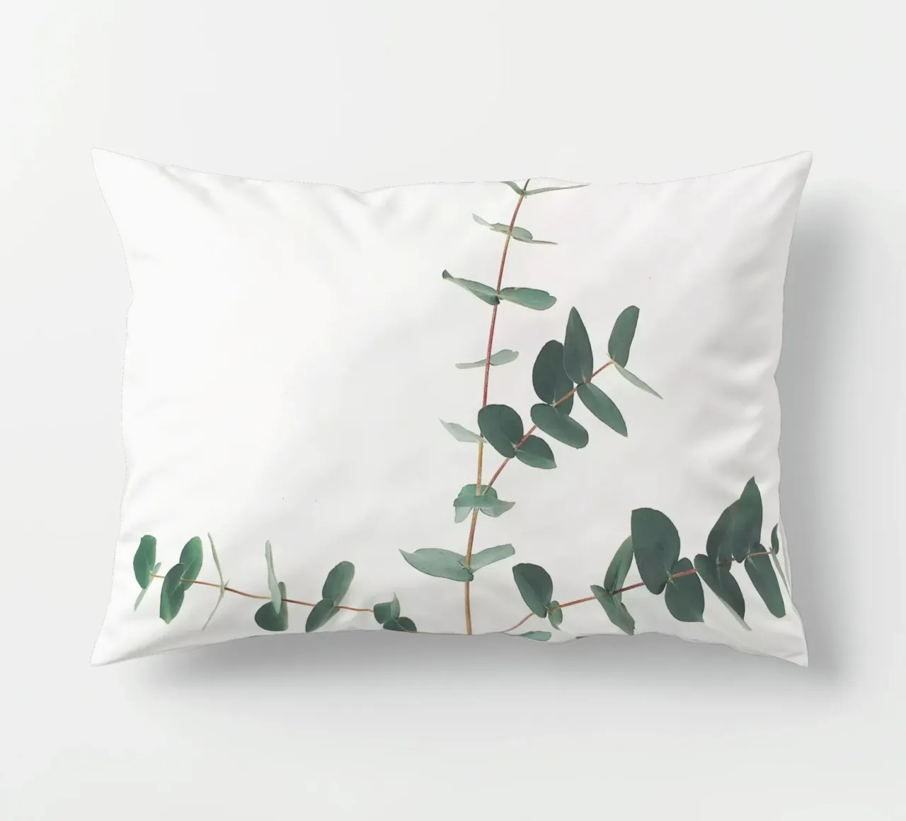 Eucalyptus cuscino da Cassia Beck Photography