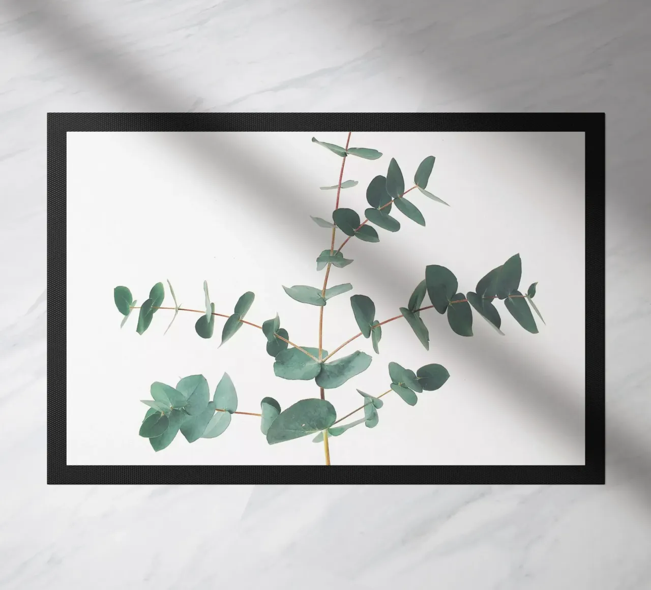 Eucalyptus zerbino da Cassia Beck Photography