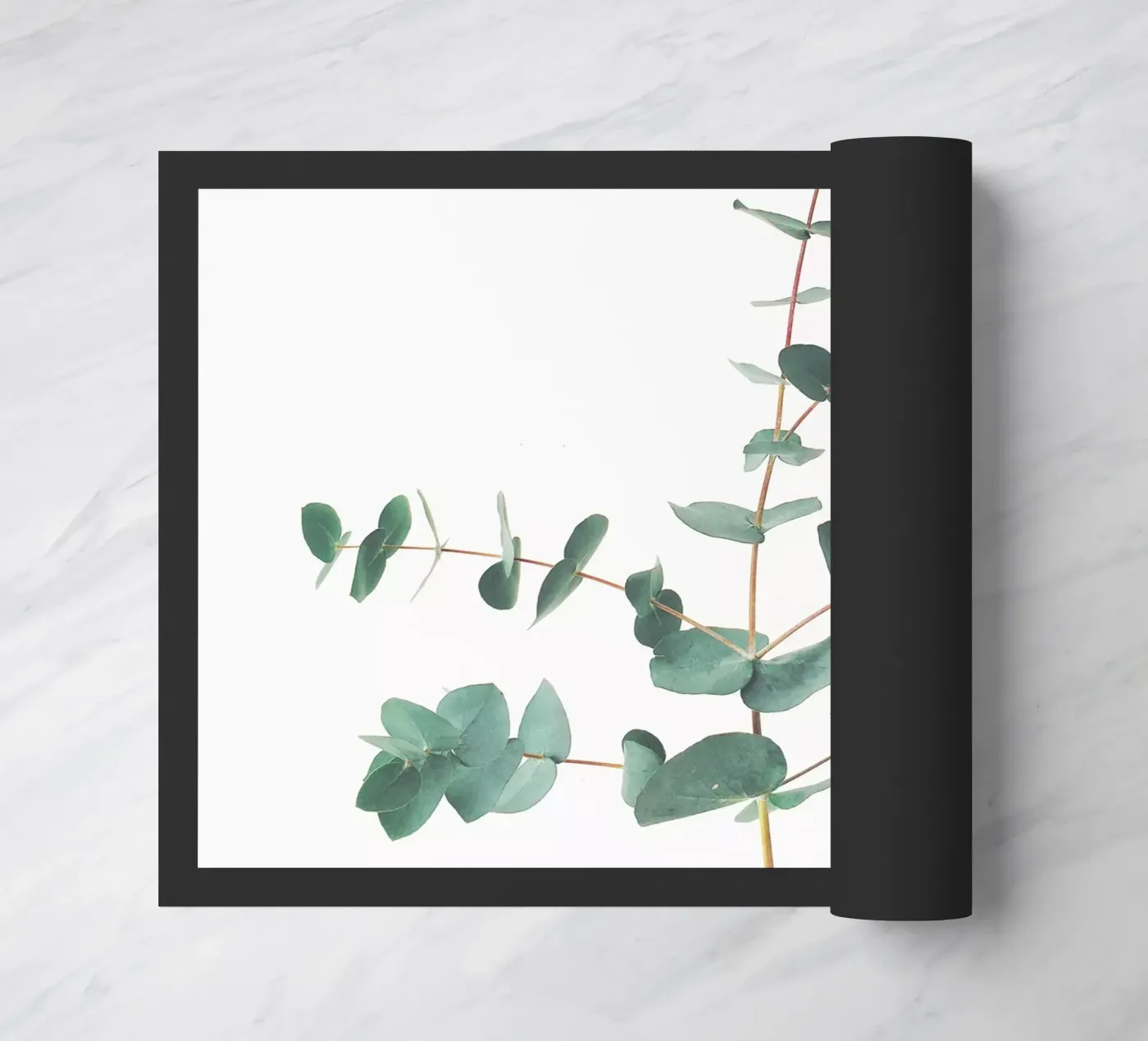 Eucalyptus doormat by Cassia Beck Photography