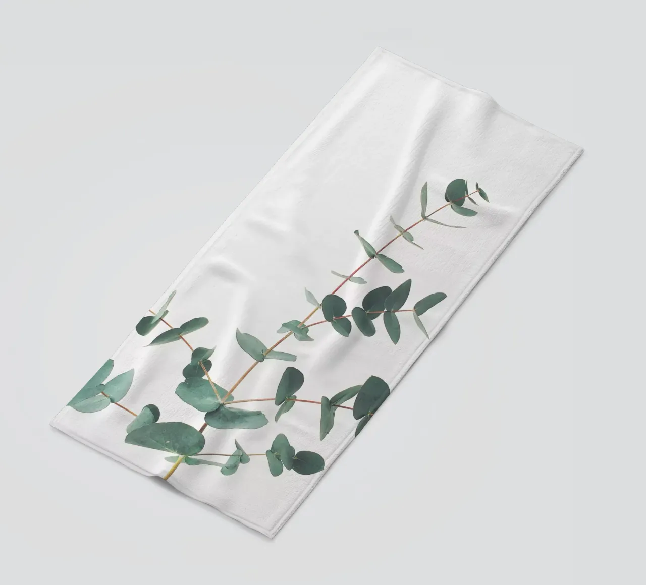 Eucalyptus telo mare da Cassia Beck Photography