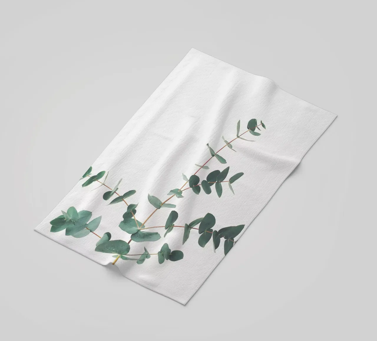 Eucalyptus telo mare da Cassia Beck Photography