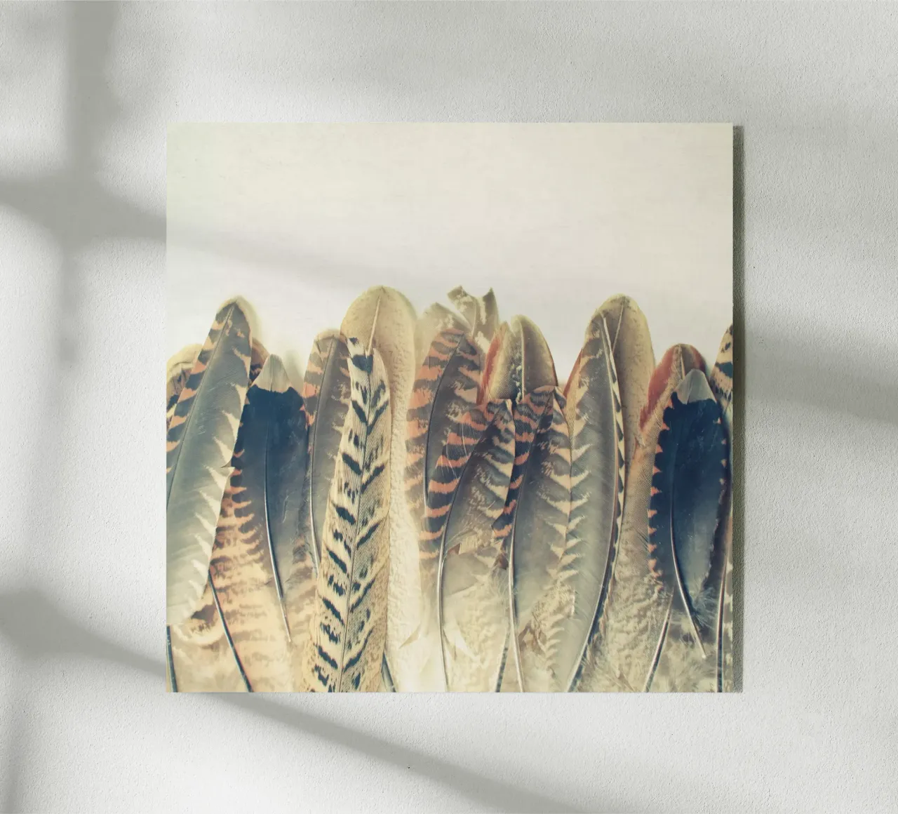 Feather Dip acrylic glass by Cassia Beck Photography