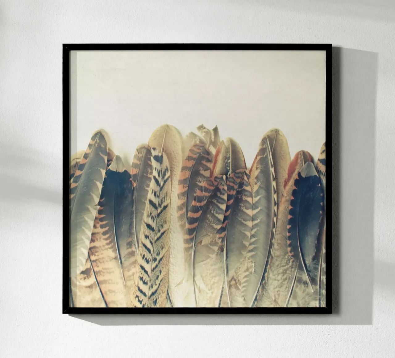 Tuffo di piume poster da Cassia Beck Photography