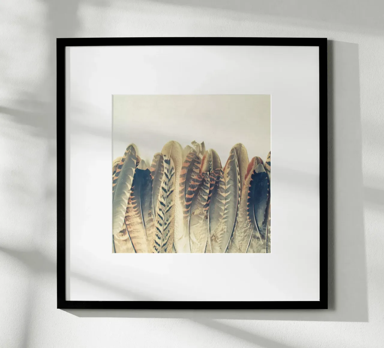 Tuffo di piume poster da Cassia Beck Photography