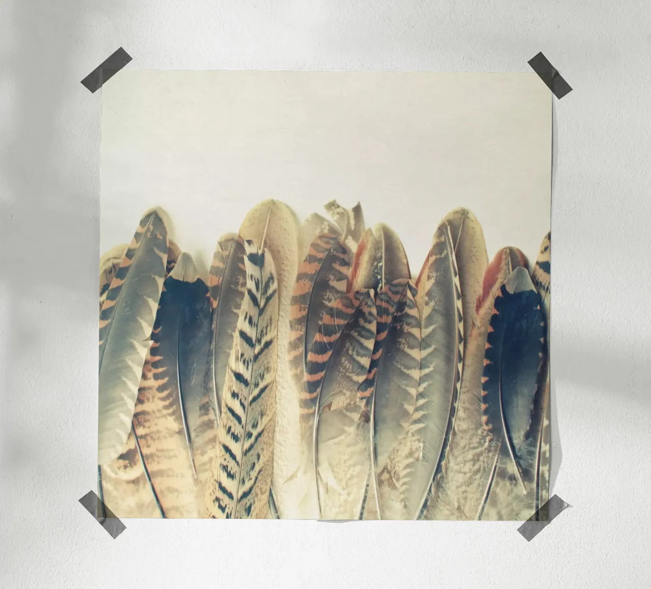 Tuffo di piume poster da Cassia Beck Photography