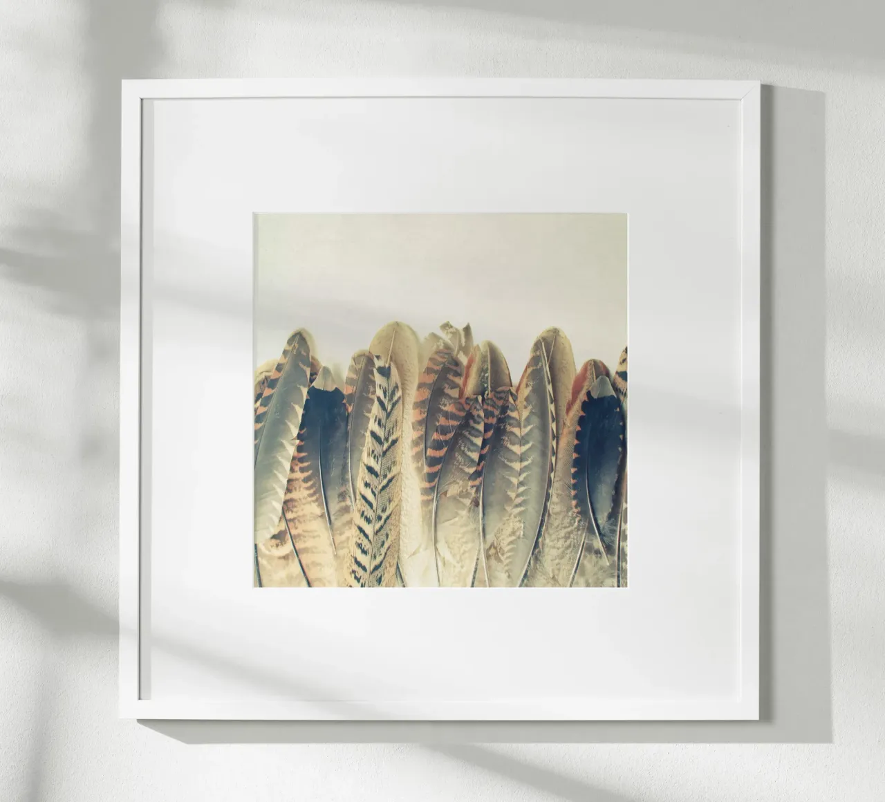 Tuffo di piume poster da Cassia Beck Photography