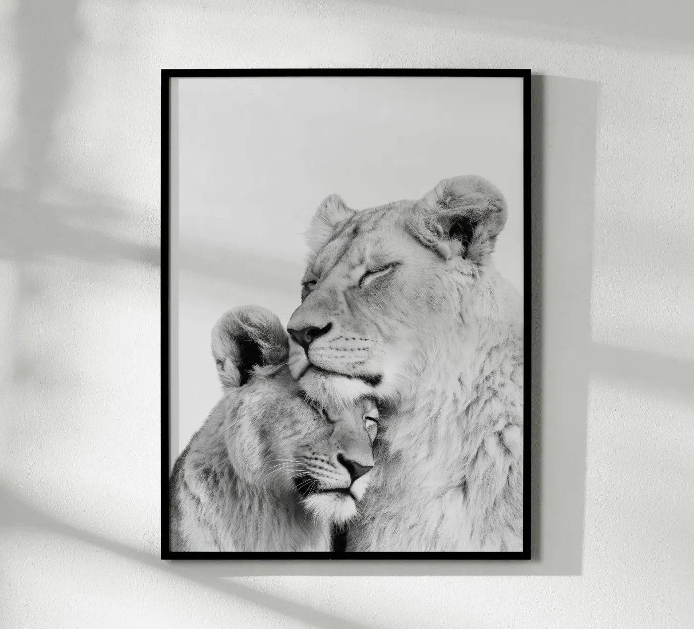 Löwen Poster von Alva Studio