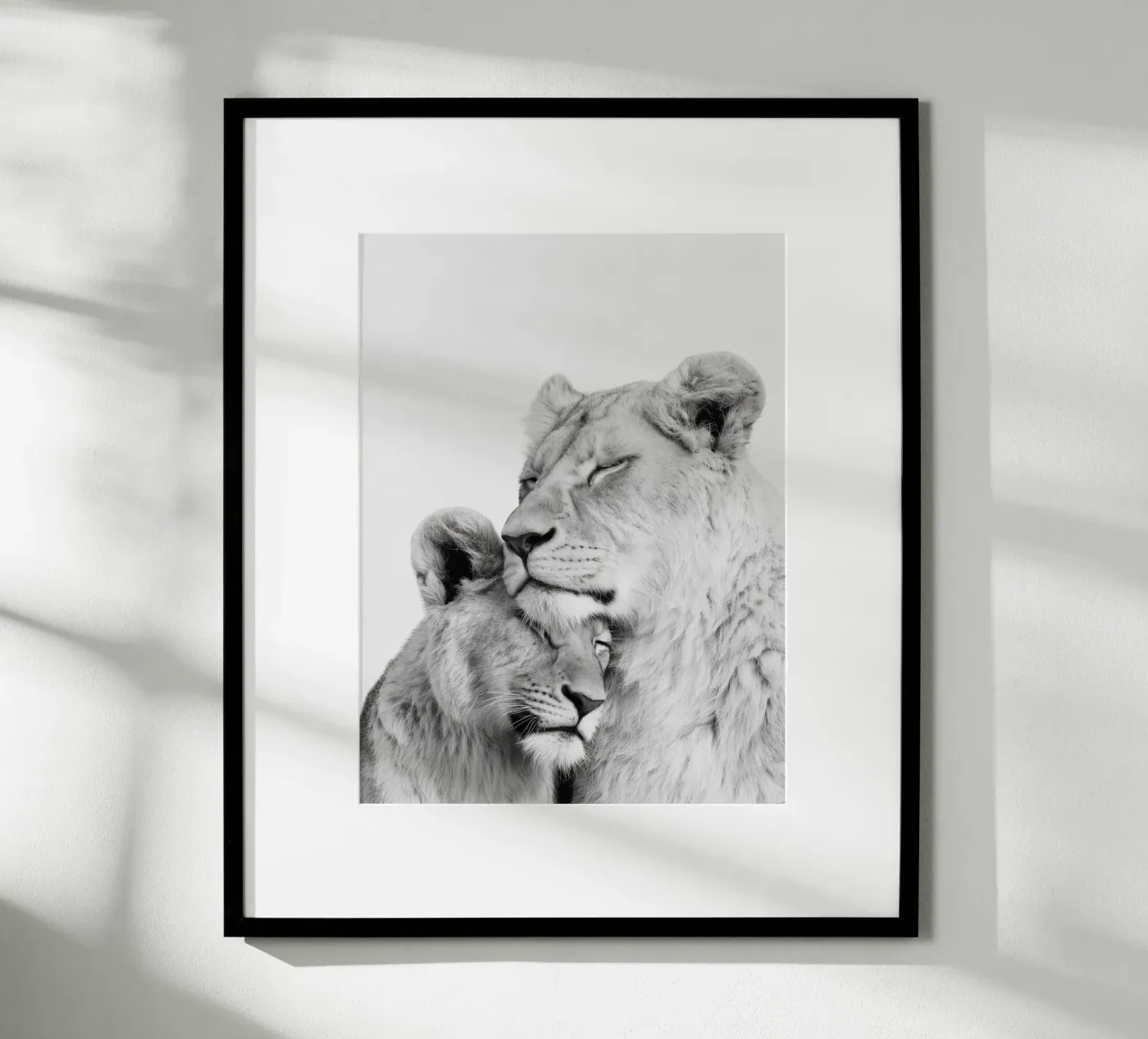 Löwen Poster von Alva Studio