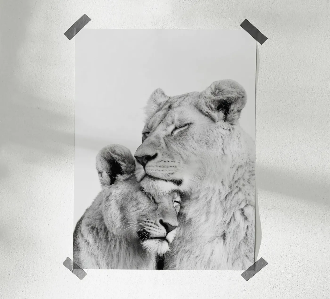 Löwen Poster von Alva Studio