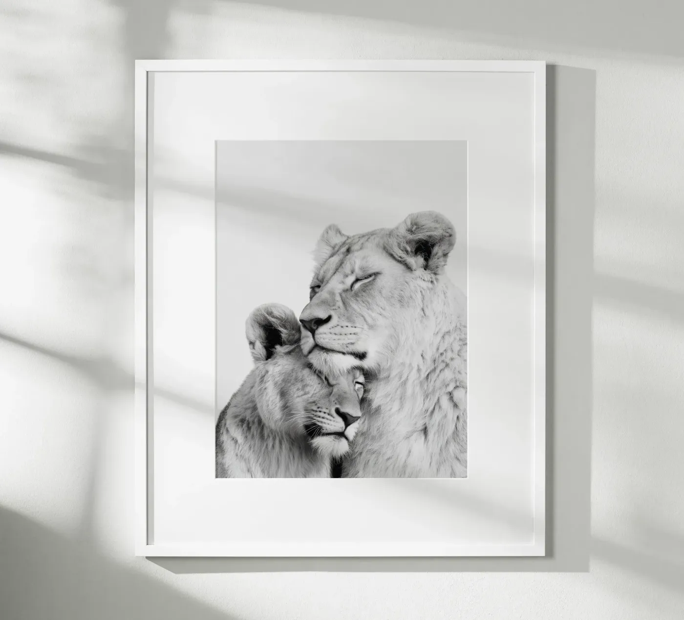 Löwen Poster von Alva Studio