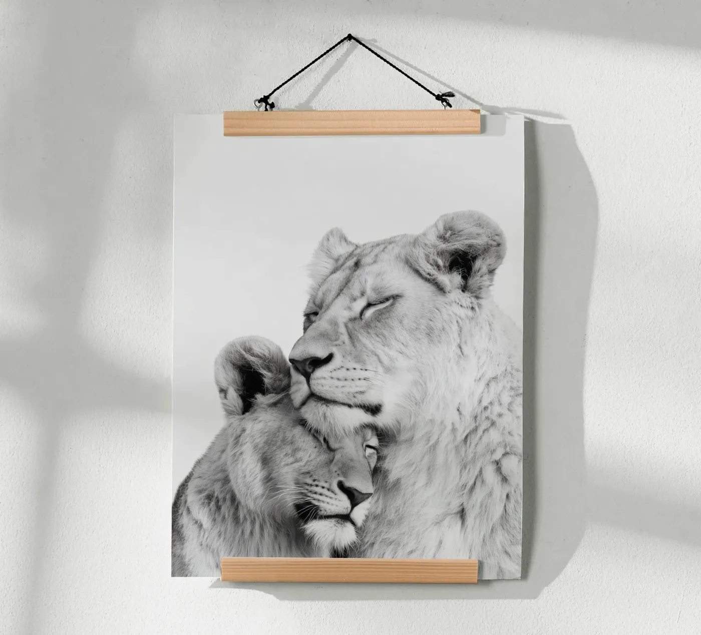 Löwen Poster von Alva Studio