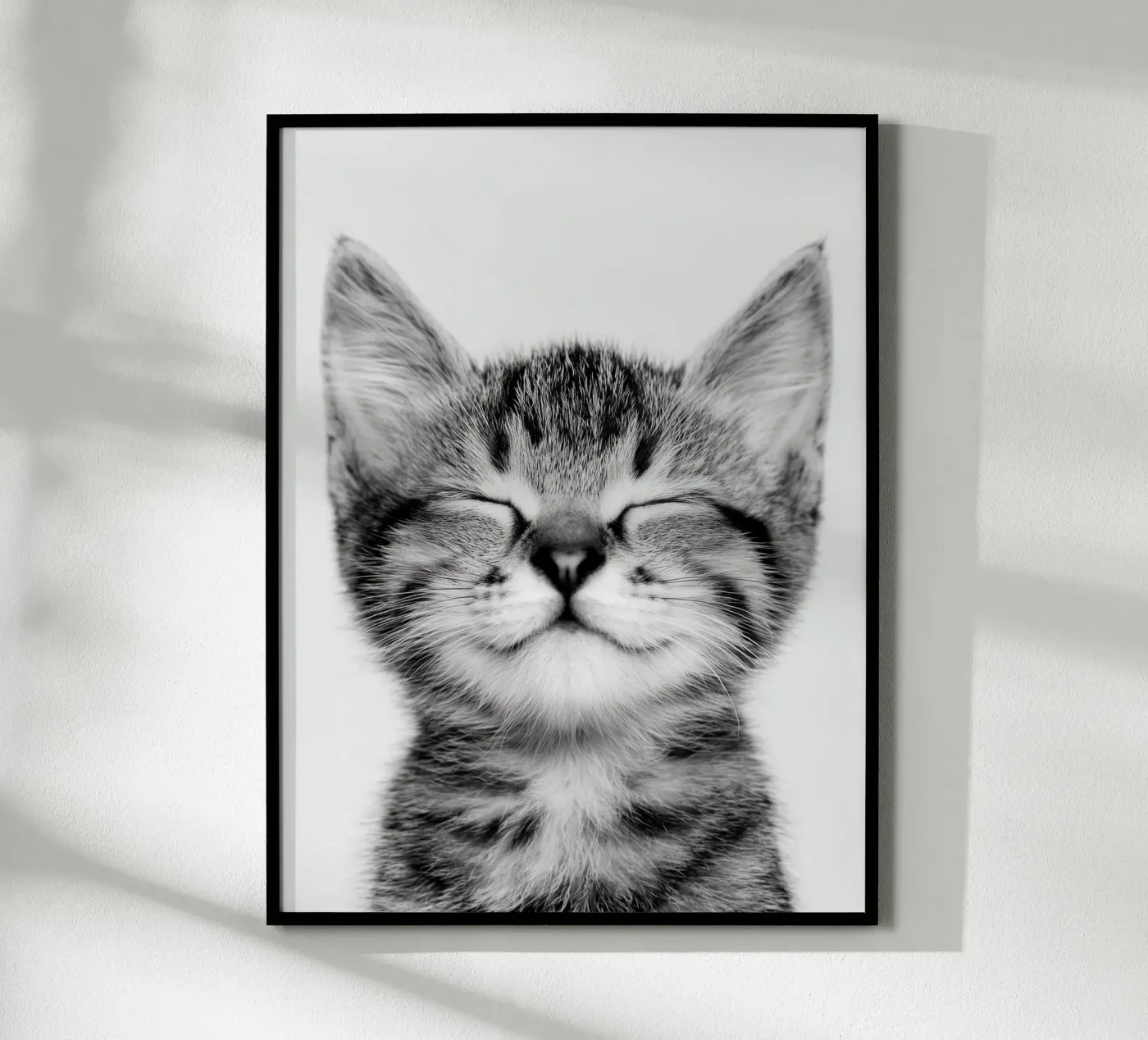 Gattino tranquillo poster da Alva Studio