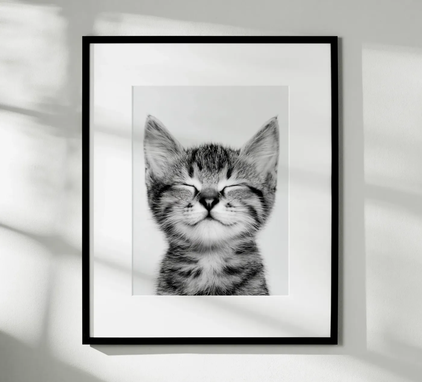 Gattino tranquillo poster da Alva Studio
