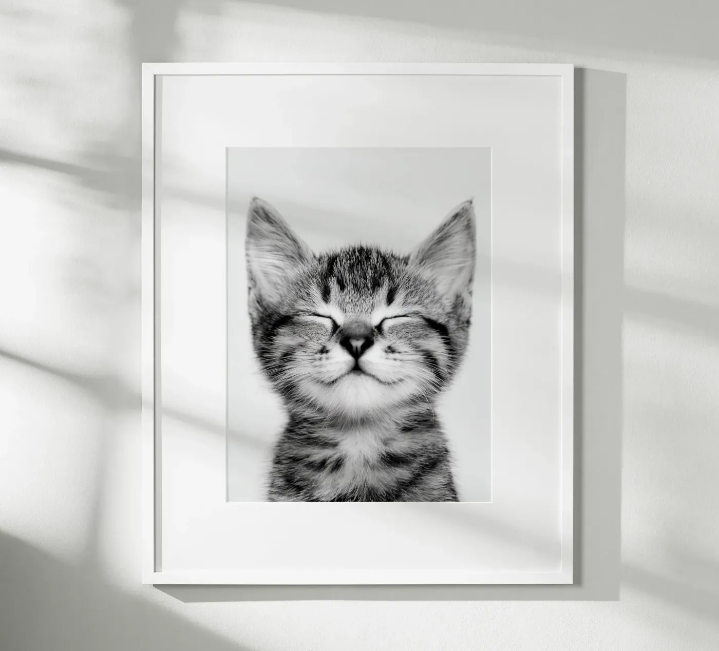 Gattino tranquillo poster da Alva Studio