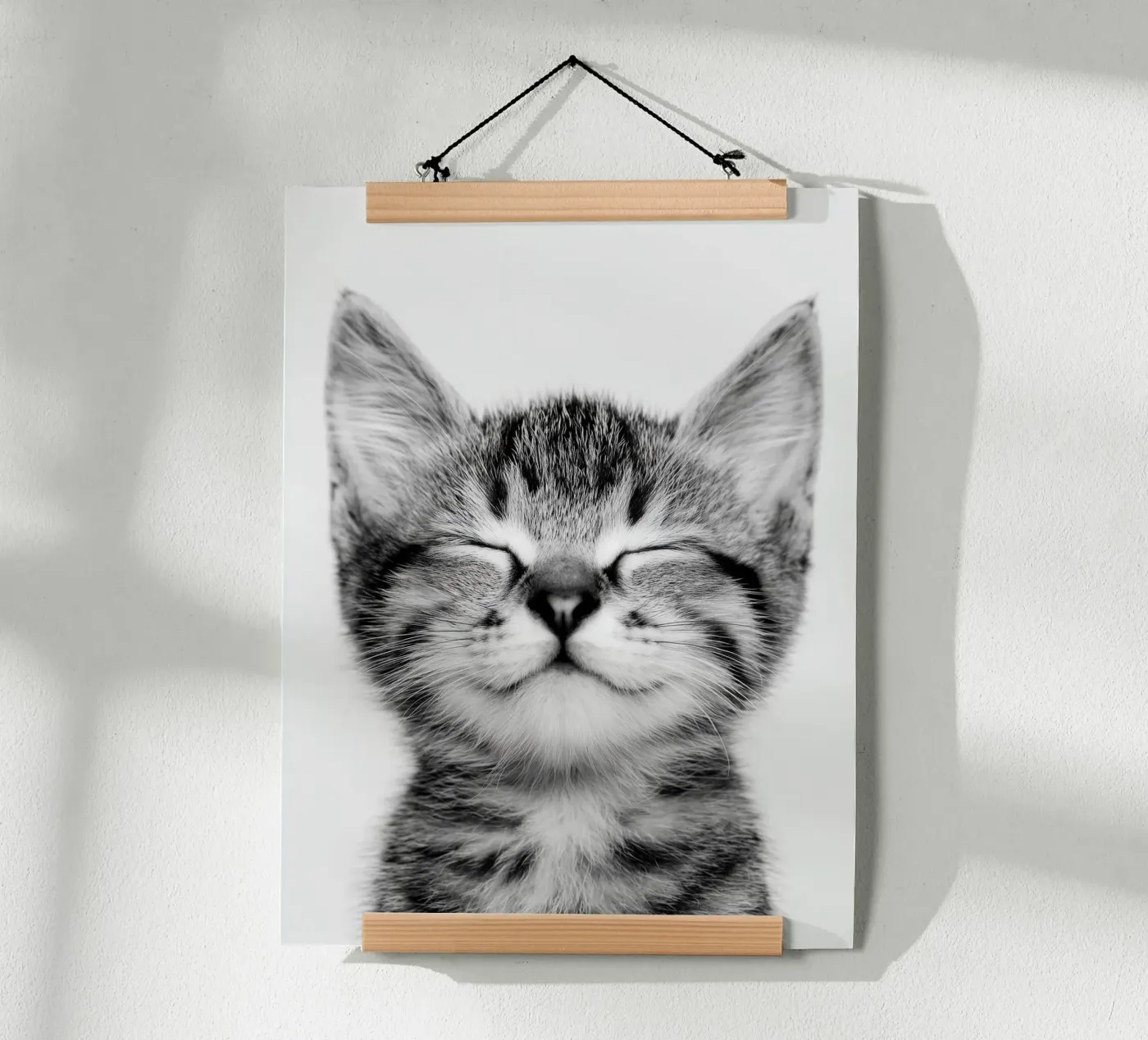Gattino tranquillo poster da Alva Studio