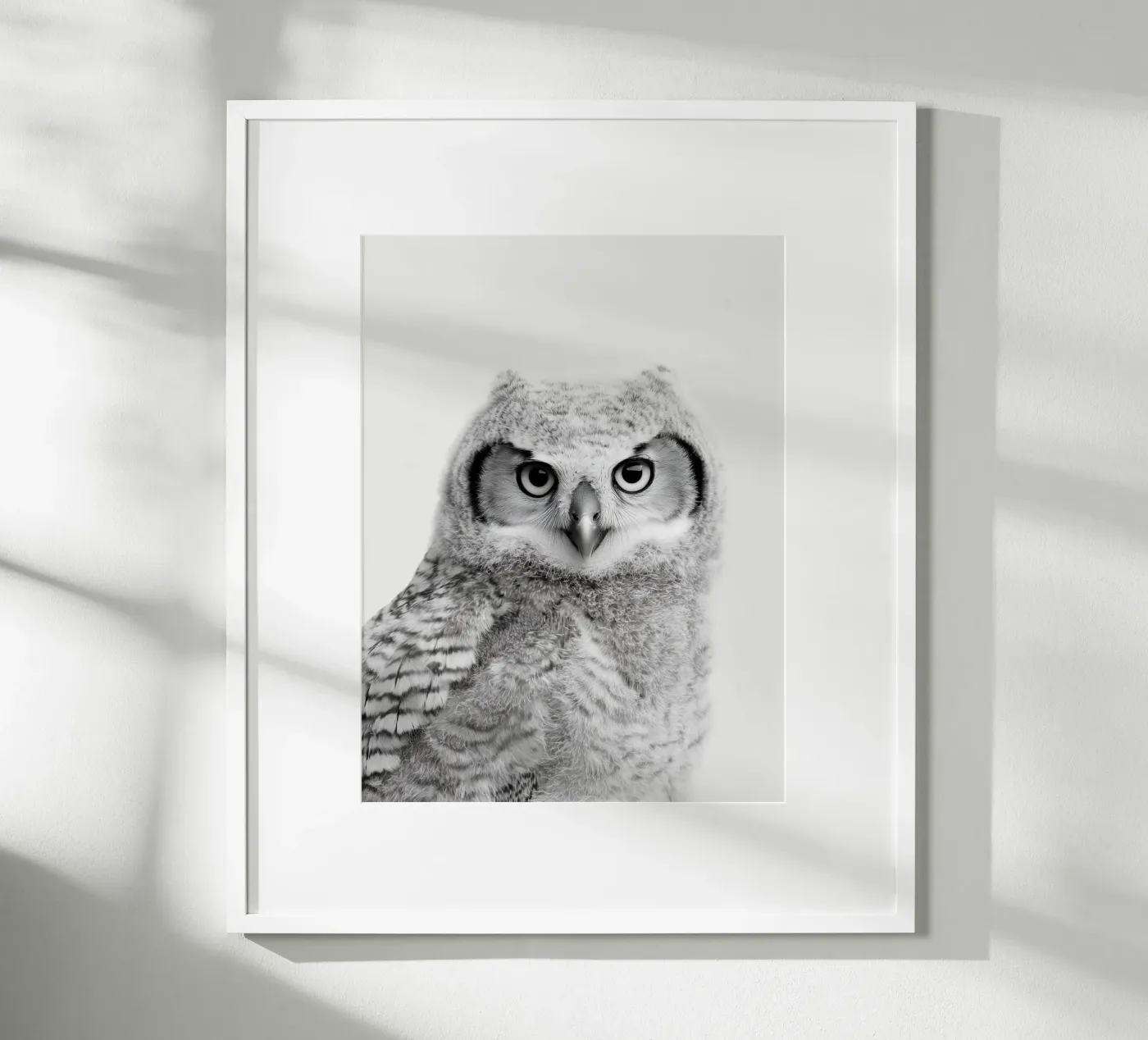 Eule Poster von Alva Studio