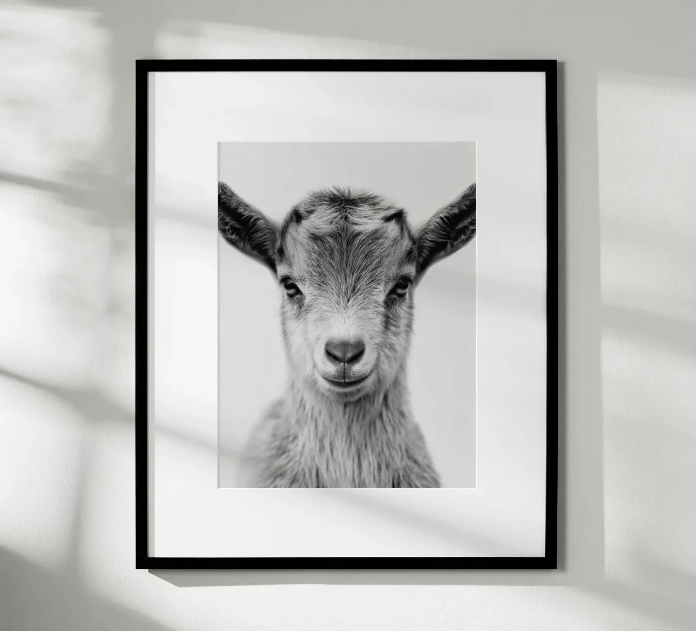 Capretto poster da Alva Studio