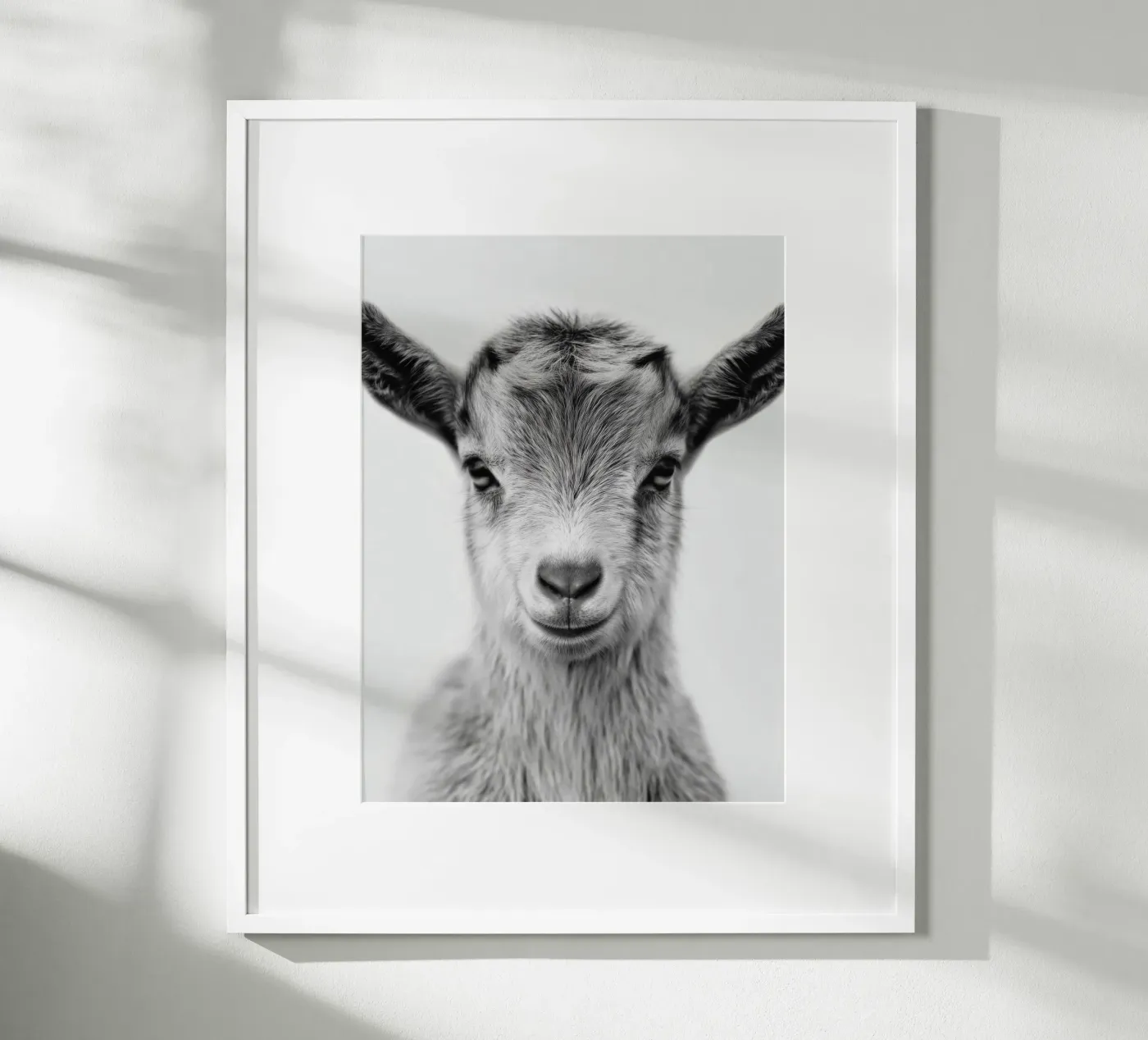 Capretto poster da Alva Studio