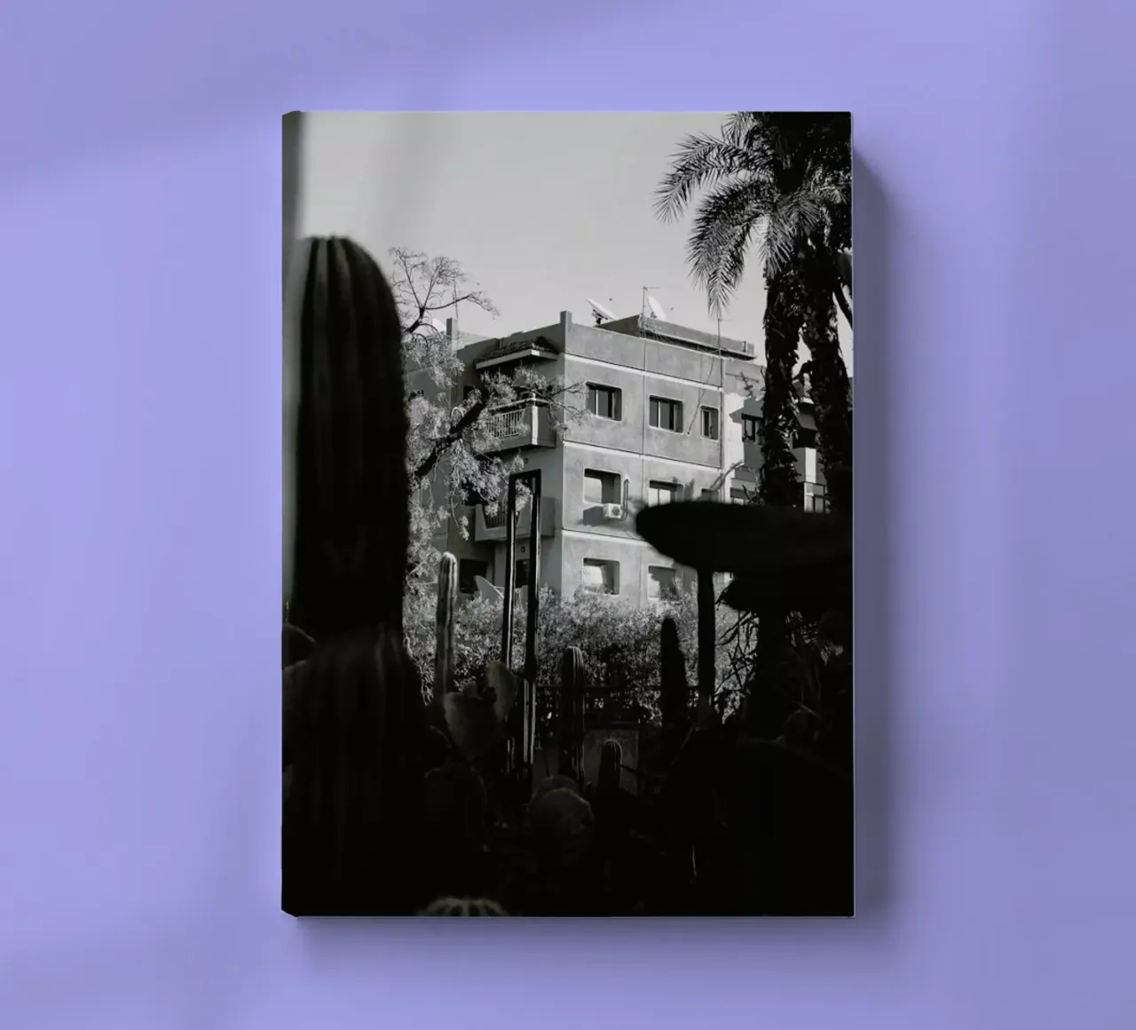 Marrakesh Paradise 13 diario da Paul Aidan Perry