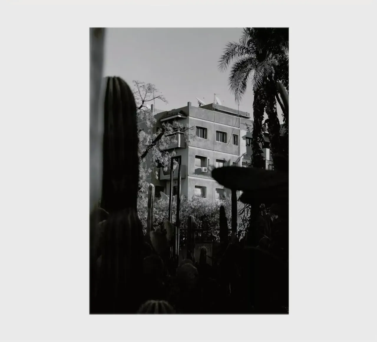 Marrakesh Paradise 13 diario da Paul Aidan Perry
